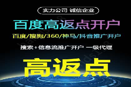 SEM主管实战案例：广告投放策略优化